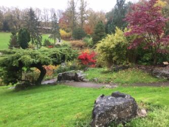 Japanese Rock Garden in Avenham Park