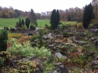 Japanese Rock Garden in Avenham Park