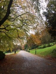 Autumnal view of Miller Park