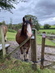 On the way back to the coach