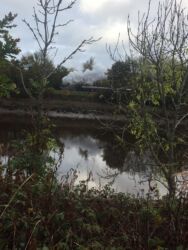 A shot of the steam engine on the other bank