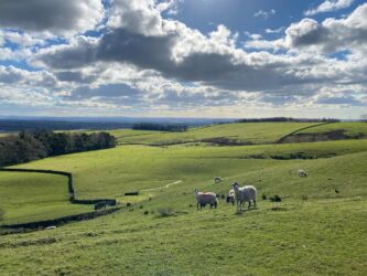 The lovely view at the start and end of the walk