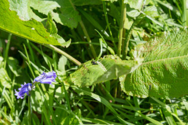 I didn't realise what this was until I saw it on the monitor at home...