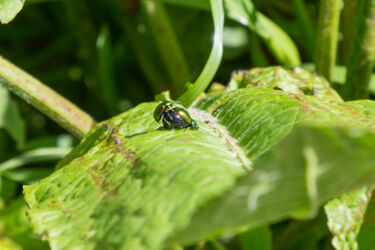 ...we weren't the only ones out enjoying ourselves!