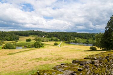 Looking back down the driveway
