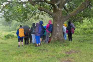 Sheltering from the rain