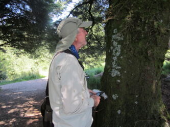 Owen finds some more lichens