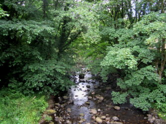upstream from the Bridge