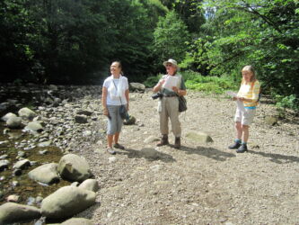 Was that a Kingfisher?