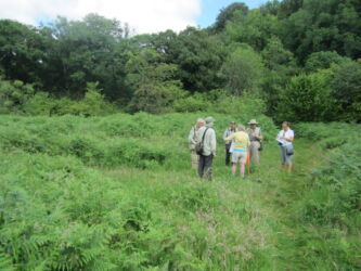 old terraces of the Brock