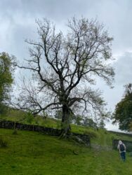 Starting to really rain